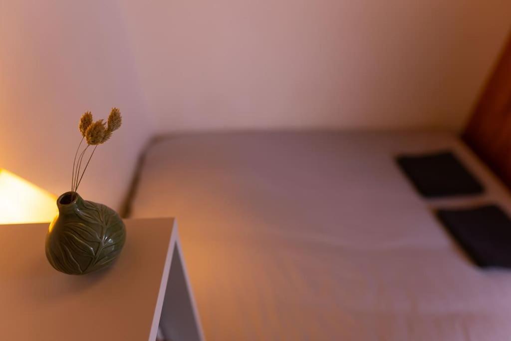 Studio Voltaire Au Coeur De Jaures Бельфор Экстерьер фото